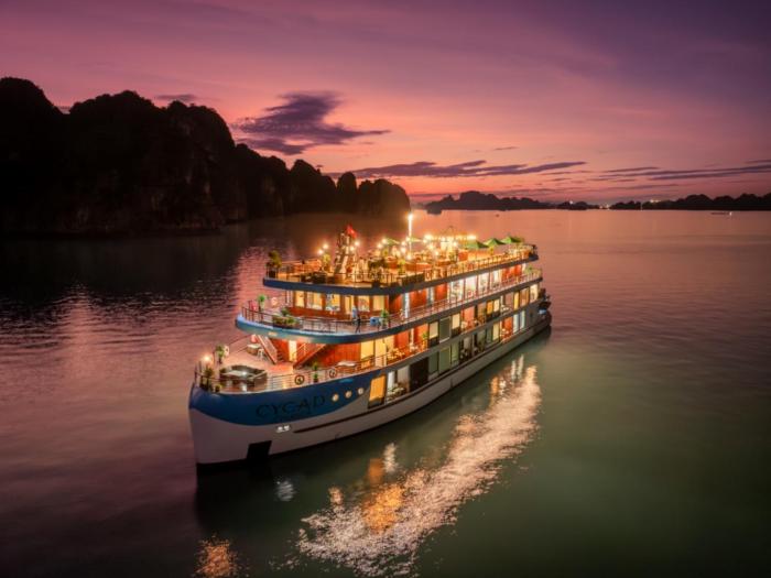 Cycad cruise