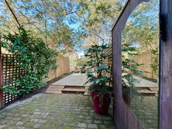 Duplex dans les pins