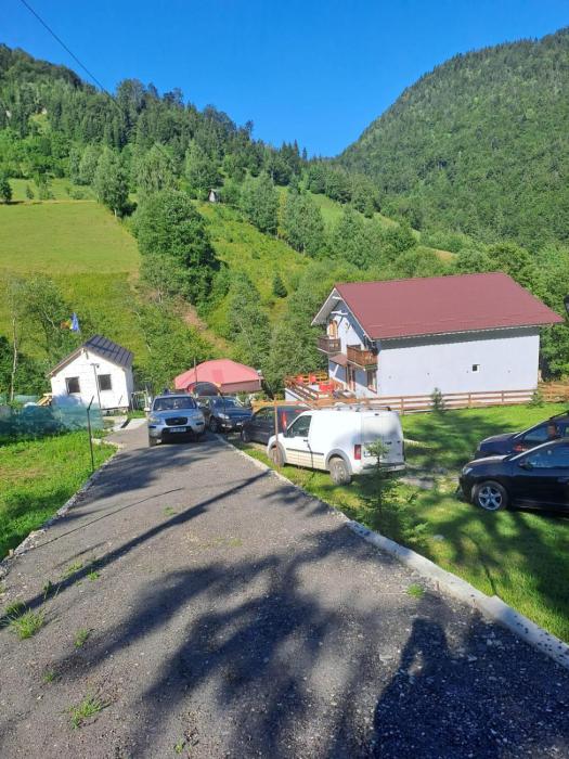 Casa Tudor Dâmbovicioara
