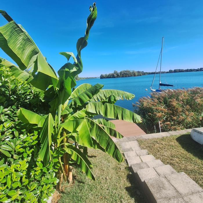 Vízparti horgász és nyaraló ház