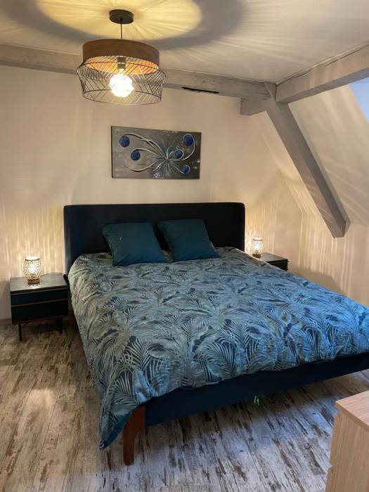 Le Cosy Green - centre-ville