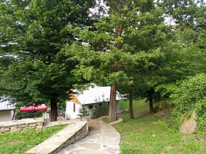 Къщички в гората