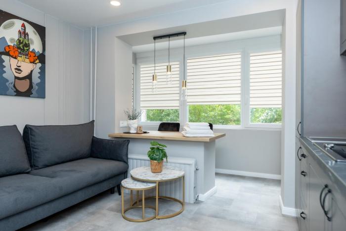 Trumpalaikė butų nuoma Kaune prie Klinikų STUDIJA C SELF CHECK IN