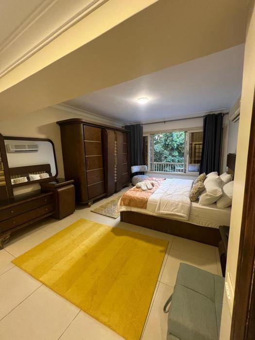 Luxurious apartment in zamalek