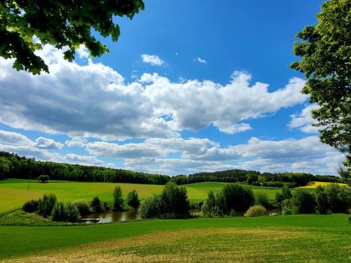 Agroturystyka Pod Lipą- Domek Jabłoniowy