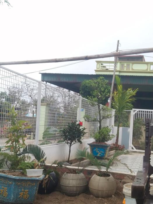 Khách sạn Flamingo Bomben