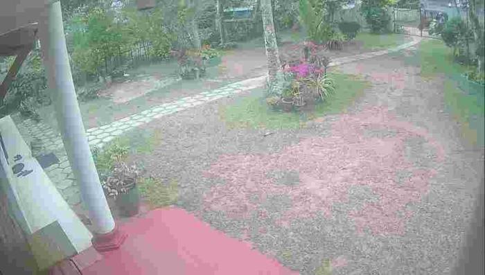 Anura home stay