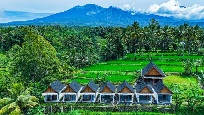 Rice Terrace Bungalows