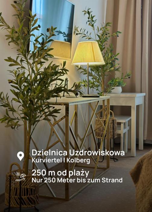 Diva Spa Premium