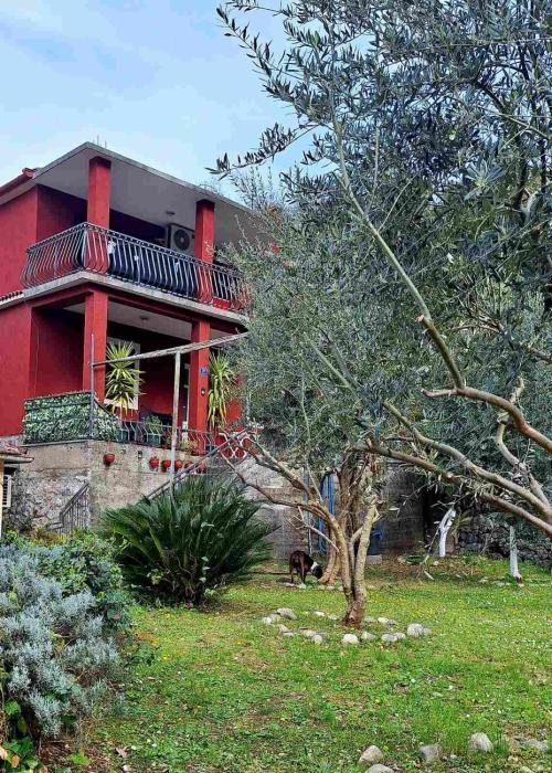 Red House Apartment