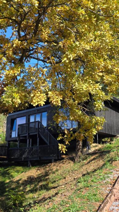 Nomad Hill Cabins
