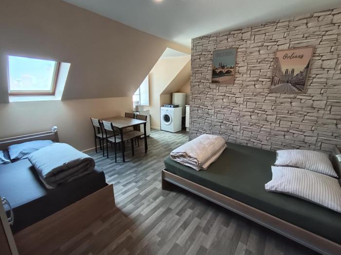 Studio cosy 4 personnes dans le centre-ville dOrléans