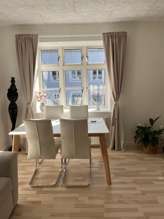 Cozy Apartment Herning Center- Pedestrian Street