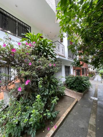 Oasis verde en pleno centro