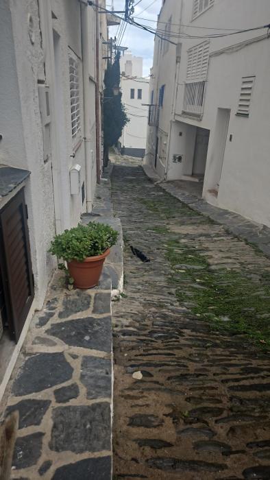 Apartament Boutique Sota Campanar a Cadaqués