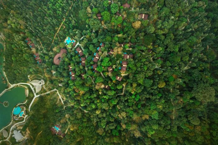 The Leela Coorg Forest Sanctuary
