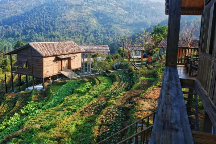 Bình Liêu Farmstay