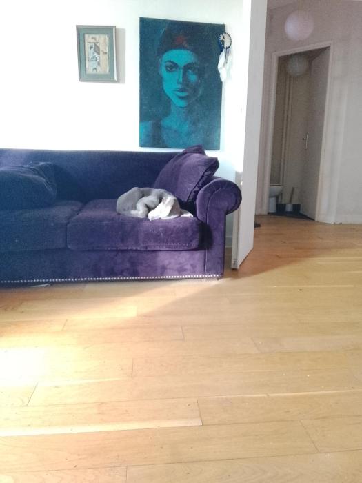 Perfect location for Roland Garros, soccer and rugby