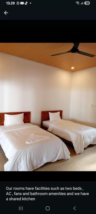 The jungle and family home stay