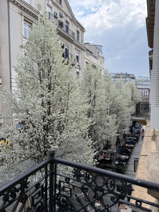 Lella Apartment - Pedestrian zone & Charming balcony