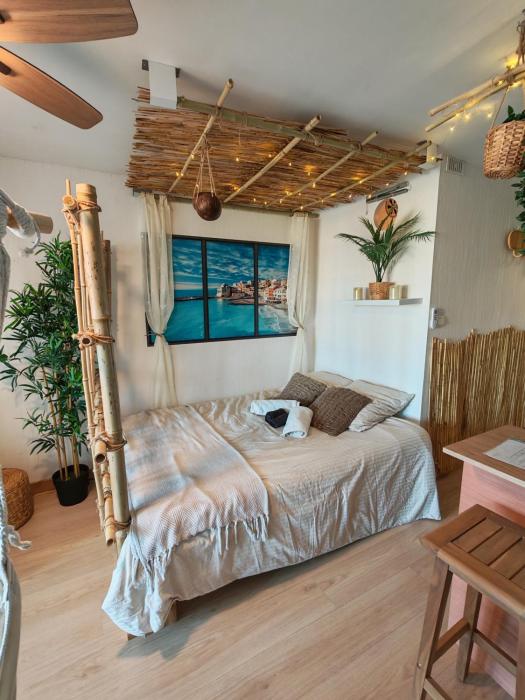 Les Cocotiers vue mer 250 m de plage