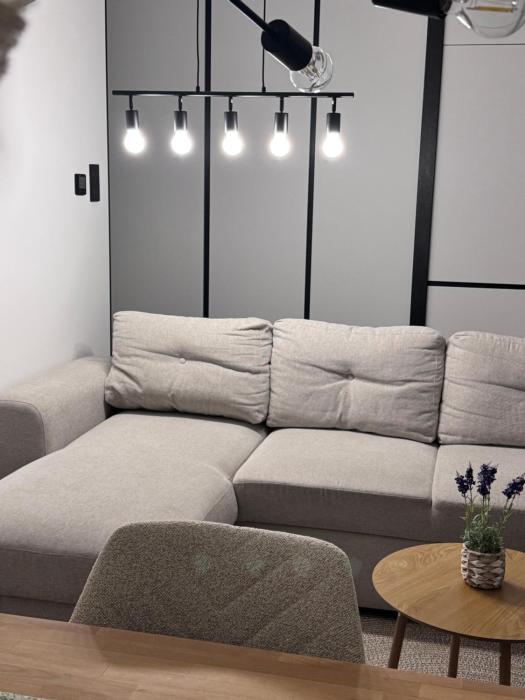 Modern Apartment in the Center of Żory