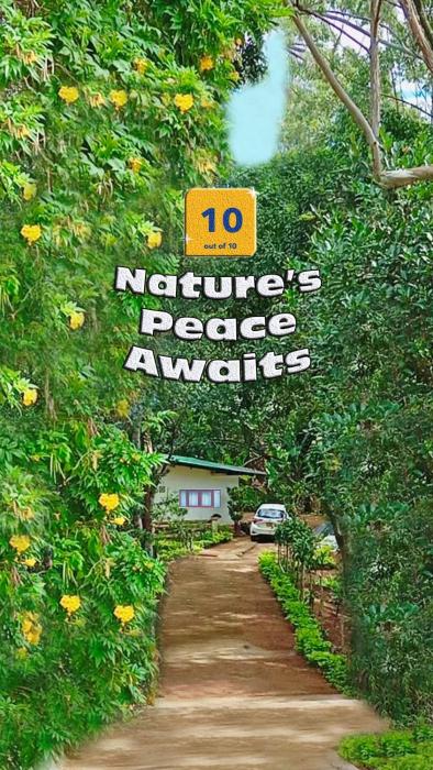 Modern Nature Lodge - Private Holiday Home