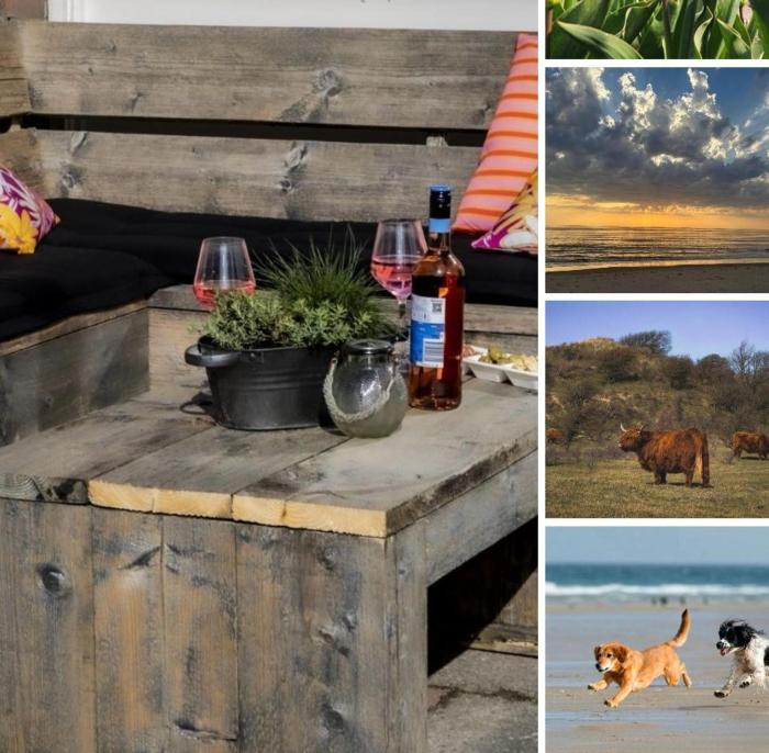 6-persoons huis met omheinde tuin vlakbij strand, hond welkom