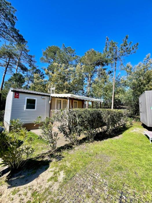 Sous les arbres ! - Mobil-Home 2 chambres - CLIM - Animaux admis