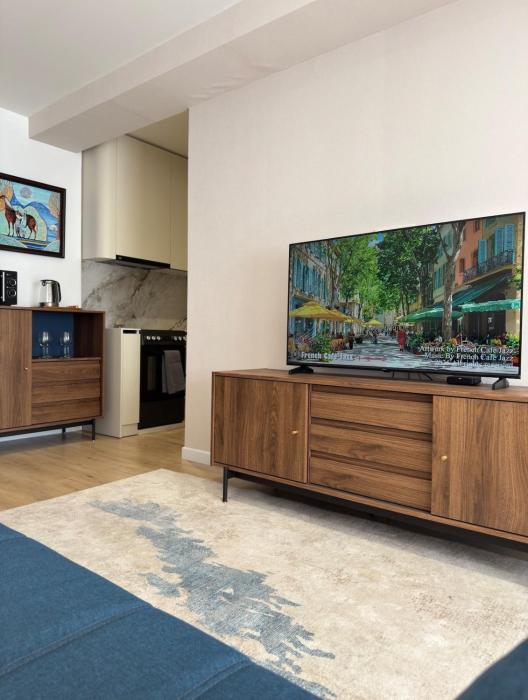 1BR apt in central area and nomad tours