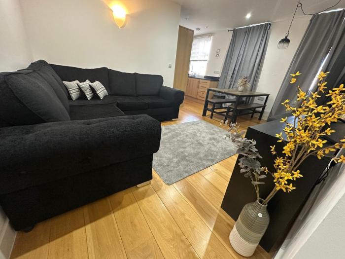 London 2 bedroom Apartment only 10 minutes to very centre of London