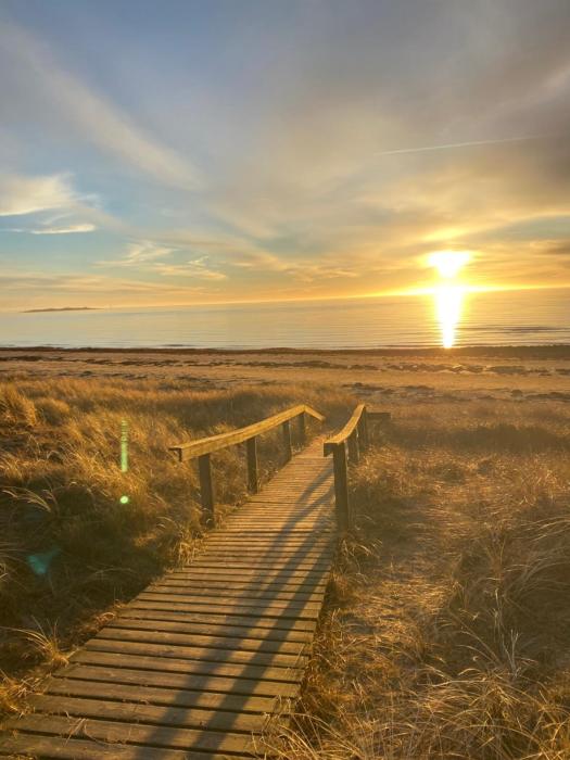 Nära strand och hav