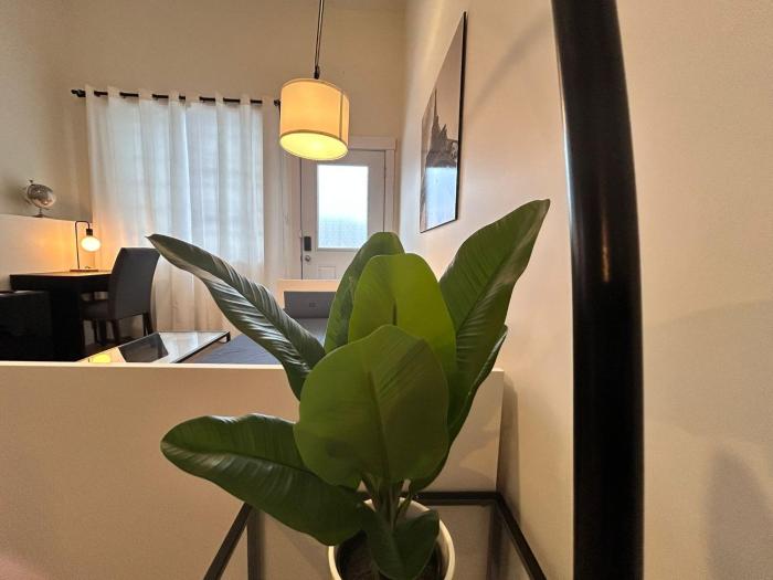 Spacious Family Suite with private Kitchenette and Laundry