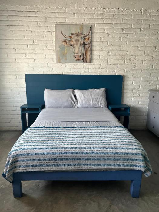 Canova Hostel & Pizza