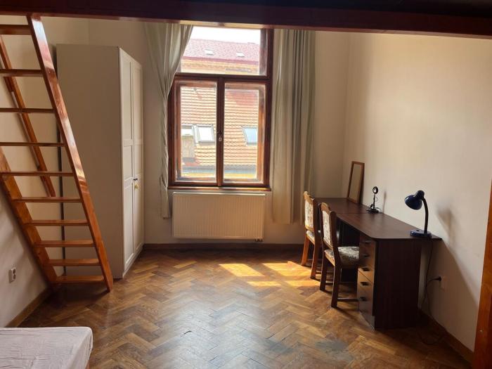 Central cozy rooms Soukenická S36