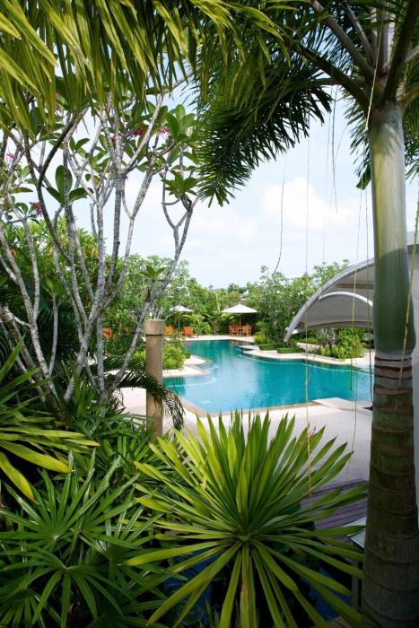 Tree Resort Palai v8