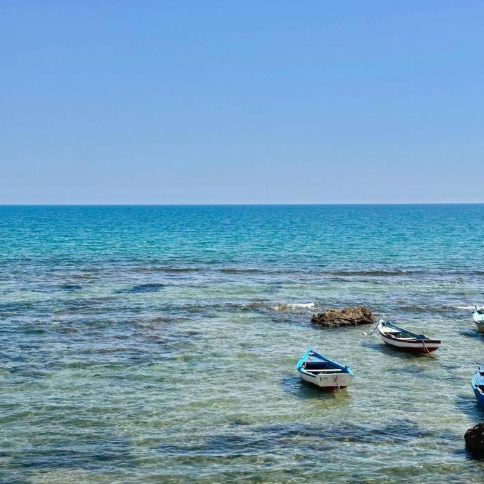 Maison Azur la Marsa plage