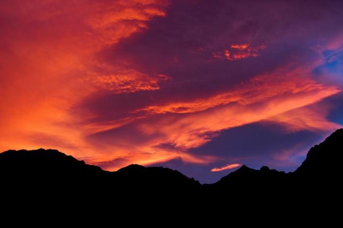 Alpen Blumen stella alpina