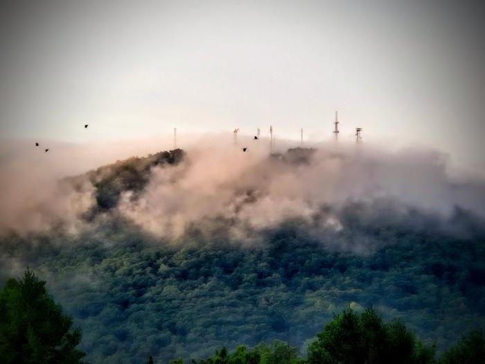 Tinker Creek 1 Bedroom Artist Suite