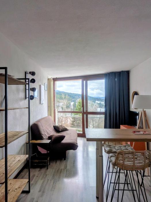 Studio aux pieds des pistes - Le Balcon de Villard