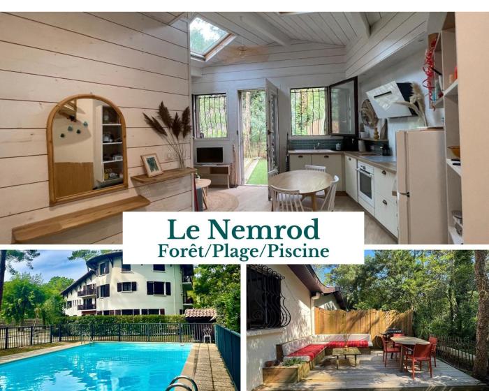 Le Nemrod, Cocon familial à Hossegor, Piscine et Terrasse