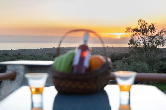 Mani Tigani View Studio