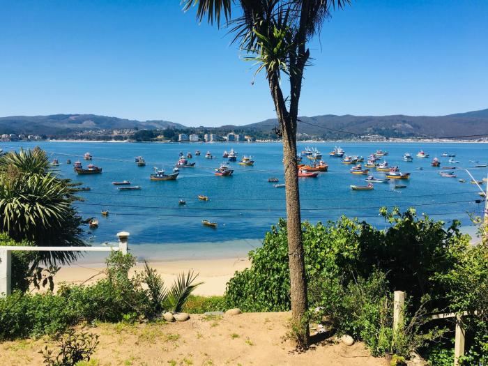 Bahía Coliumo Ocean View