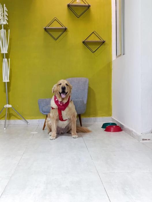 Cielo cafetero I loft moderno