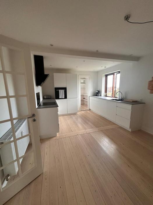 Spacious and renovated flat