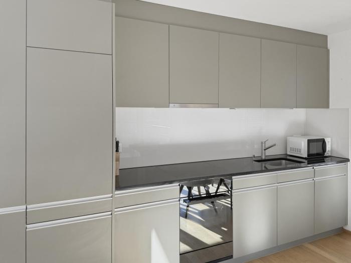 1BR apartment with balcony - West 13