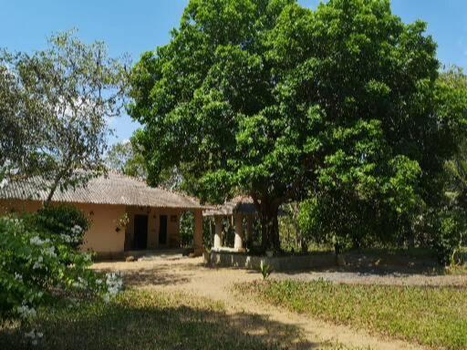 Muladhara