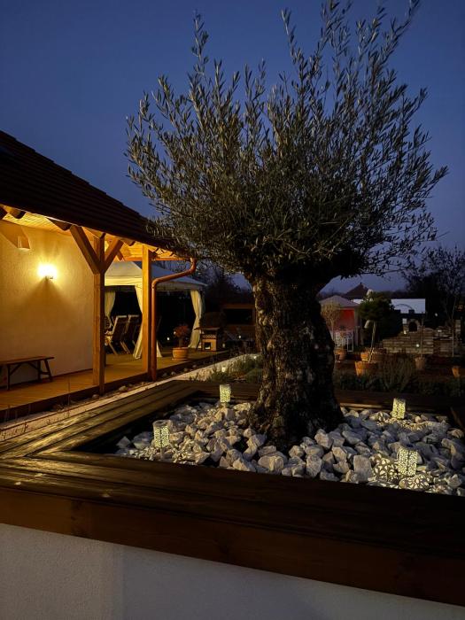 Casa Oliva Tokaj