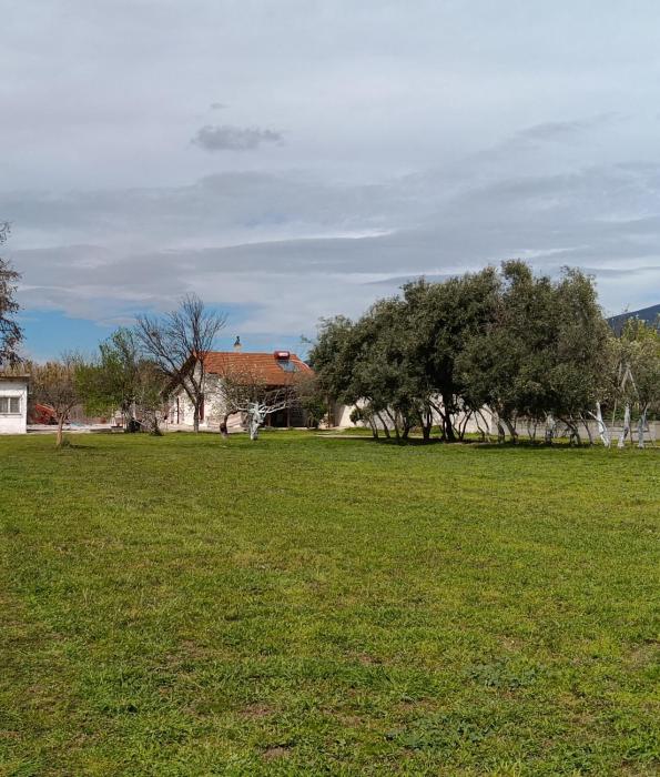 Aggelos Gardenhouse of Volos