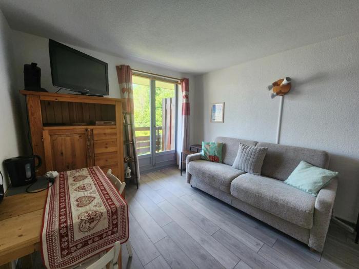 Studio 19m² à Samoëns, 4 pers, animaux admis, parking - FR-1-629-144